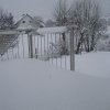 Winter 2010