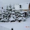 Winter 2010